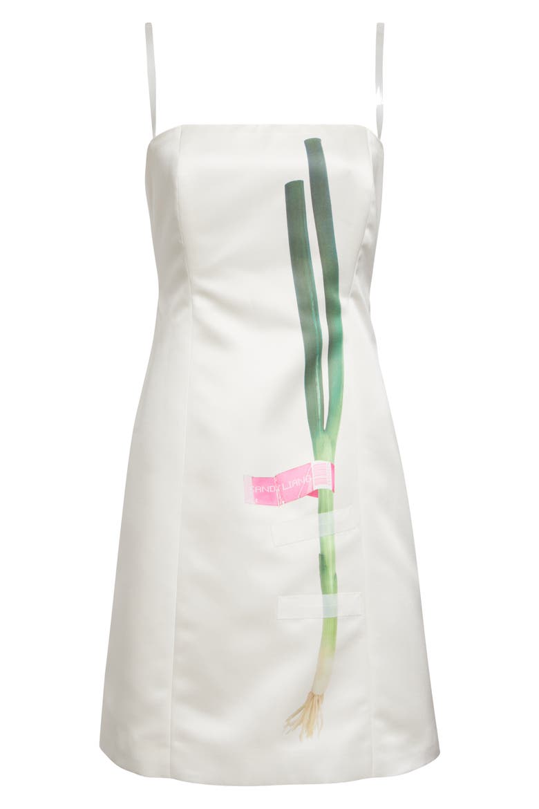 Negi Scallion Dress, Alternate, color, CHAMPAGNE