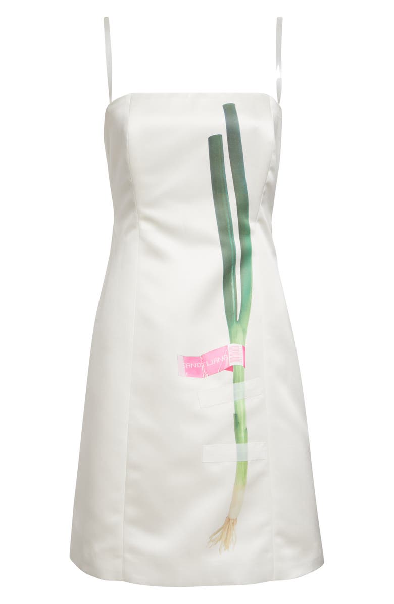 Sandy Liang Negi Scallion Dress, Alternate, color, Champagne