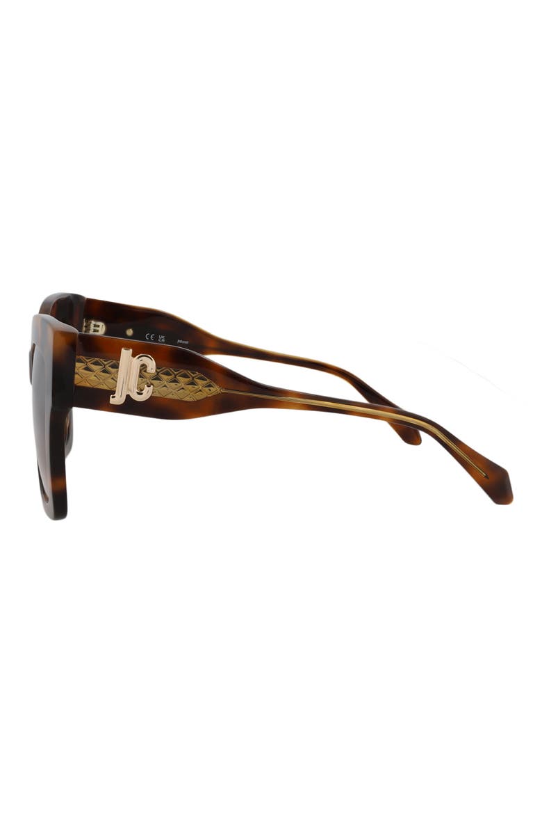 52mm Square Sunglasses, Alternate, color, HAVANA HAVANA BROWN