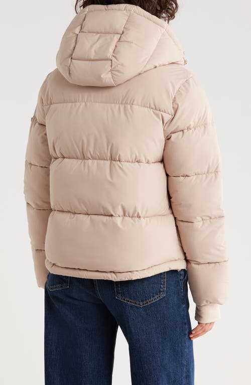 Bcbgeneration Missy Hooded Water Resistant Crop Puffer Jacket In Neutral