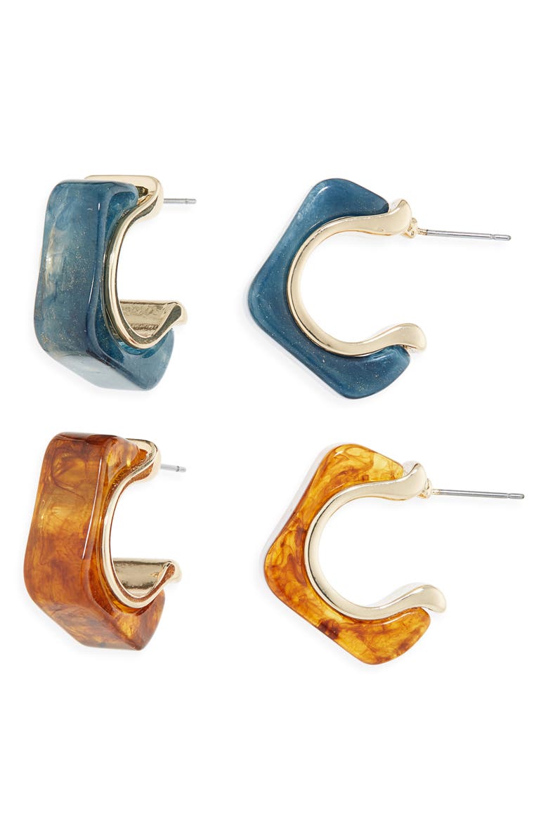 Tasha Set of 2 Resin Hoop Earrings, Main, color, Blue/ Brown