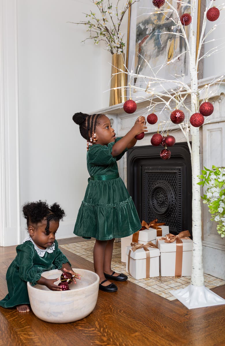 Nordstrom Kids' Matching Family Moments Velvet Dress, Alternate, color,