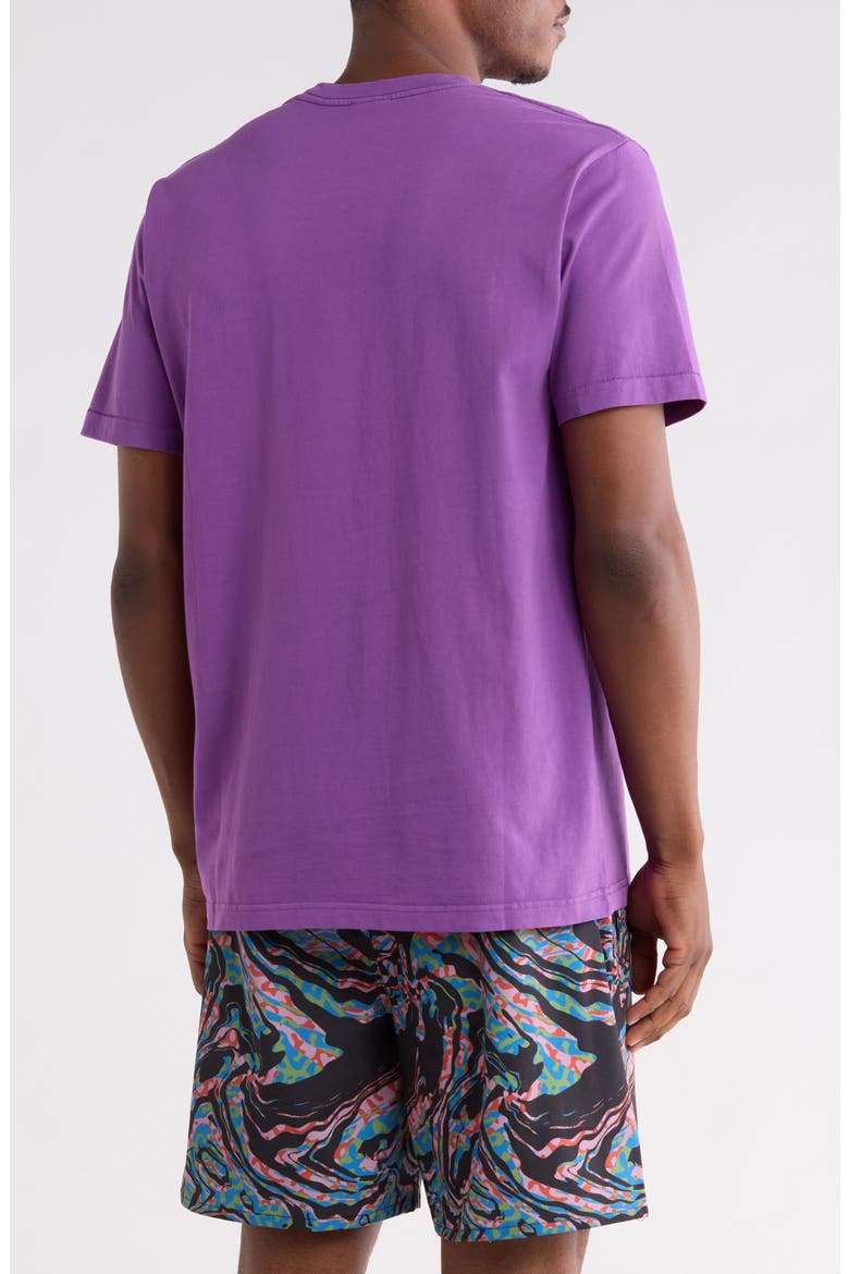 Pangea Embroidered T-Shirt, Alternate, color, BRIGHT VIOLET
