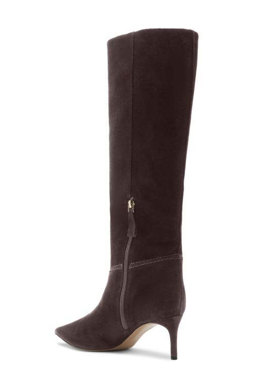 Alexandre Birman Malva Pointed Toe Knee High Boot In Brown