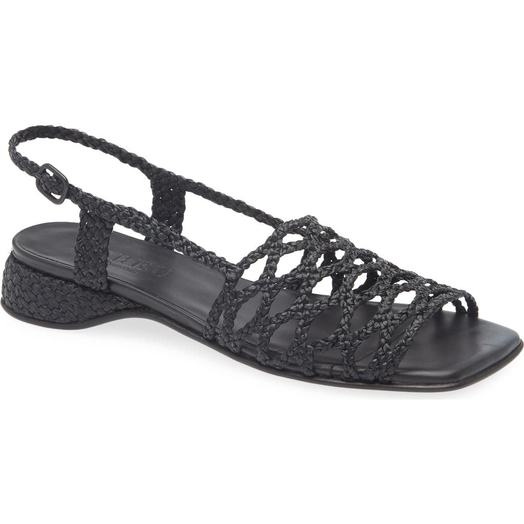 Hereu Alzira Raffia Slingback Sandal In Black