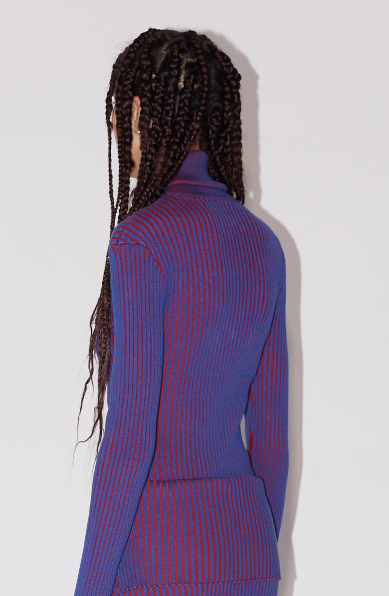 SAEMDI Bicolour Rib Knit Top, Alternate, color, Dark Blue / Red