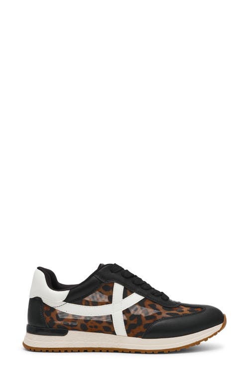 Dolce Vita Dv By Joque Sneaker In Brown