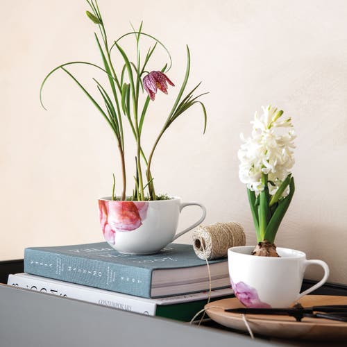 Villeroy & Boch Rose Garden Breakfast Cup In Pink