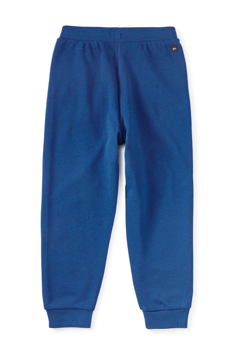 Tea Collection Colorblock Dragon Joggers, Alternate, color, Galactic Blue