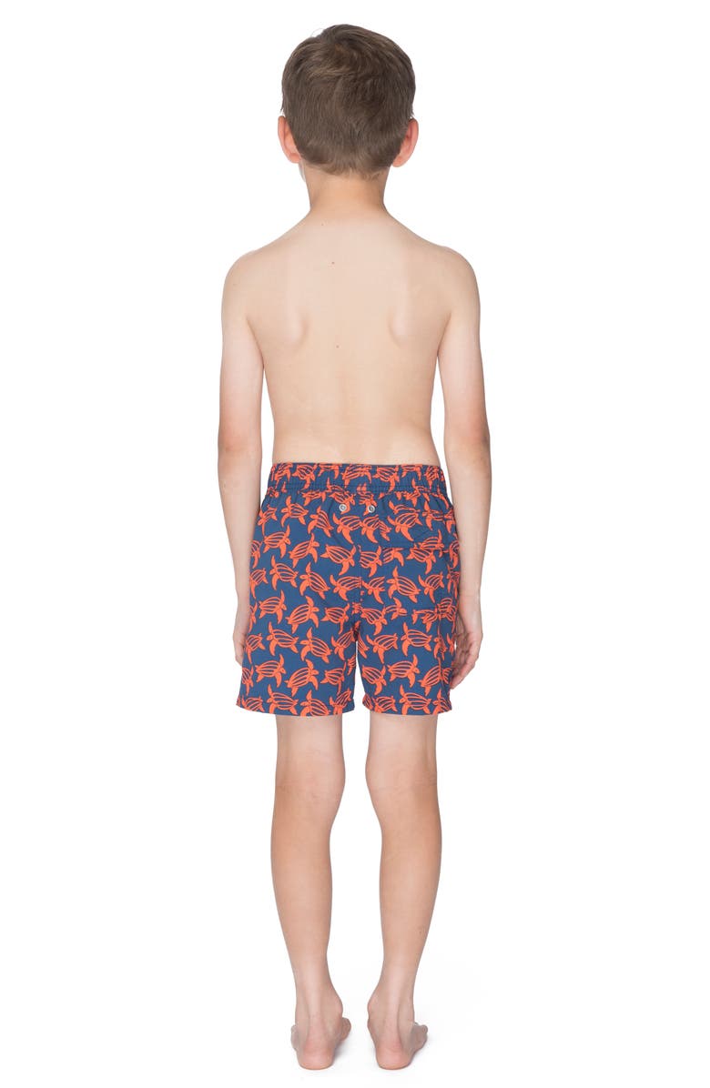 Tom & Teddy Turtle Swim Trunks, Alternate, color,
