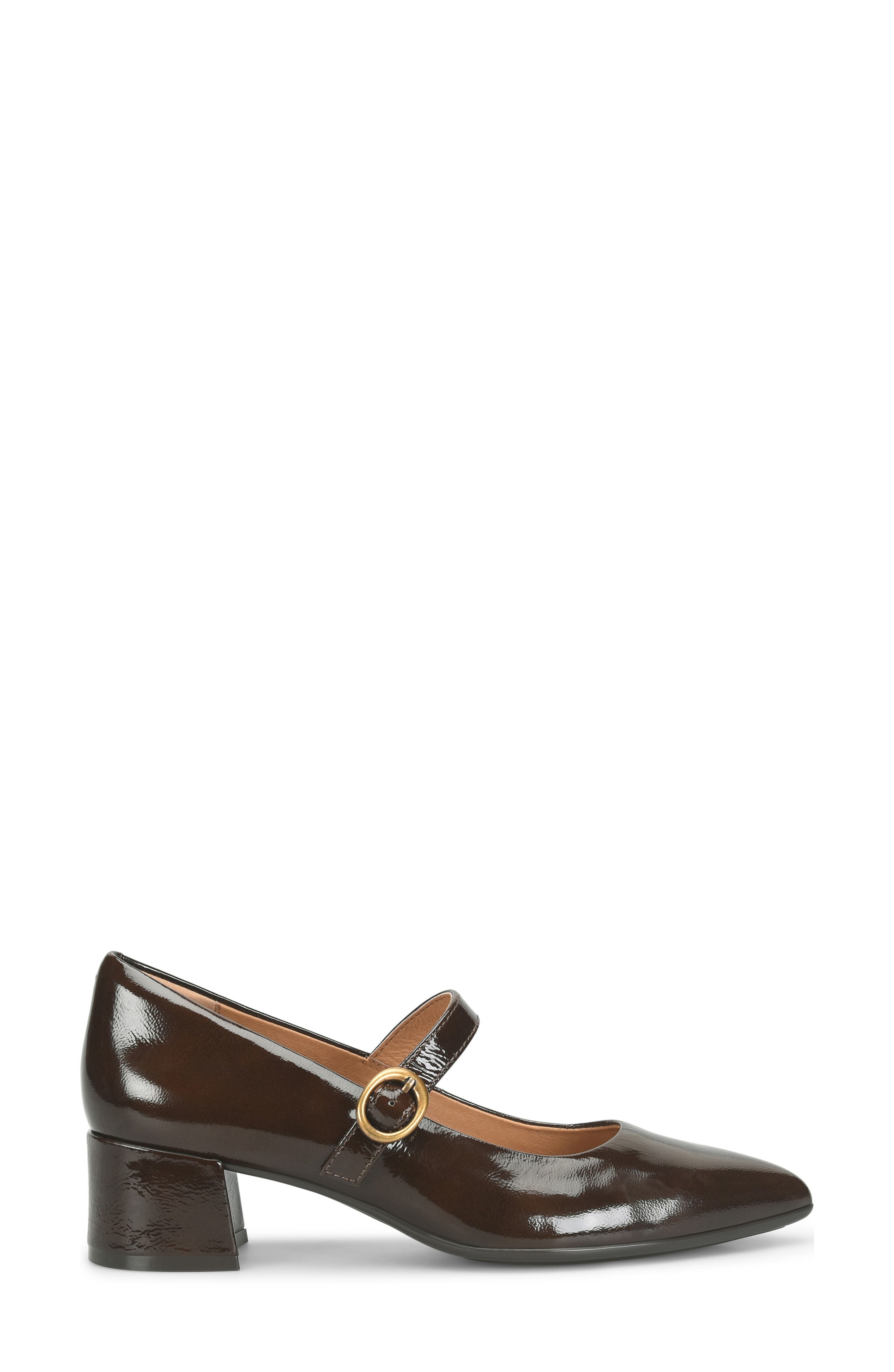 Stacy Pointed Toe Mary Jane Pump, Alternate, color, CHOCOLATE