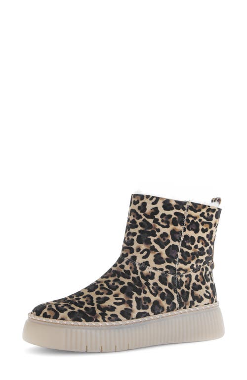 Gabor Genuine Shearling Platform Boot In Animal Print