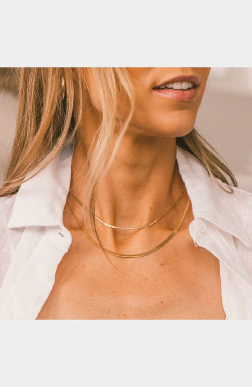 Made By Mary Thin Hera Chain Necklace In Gold
