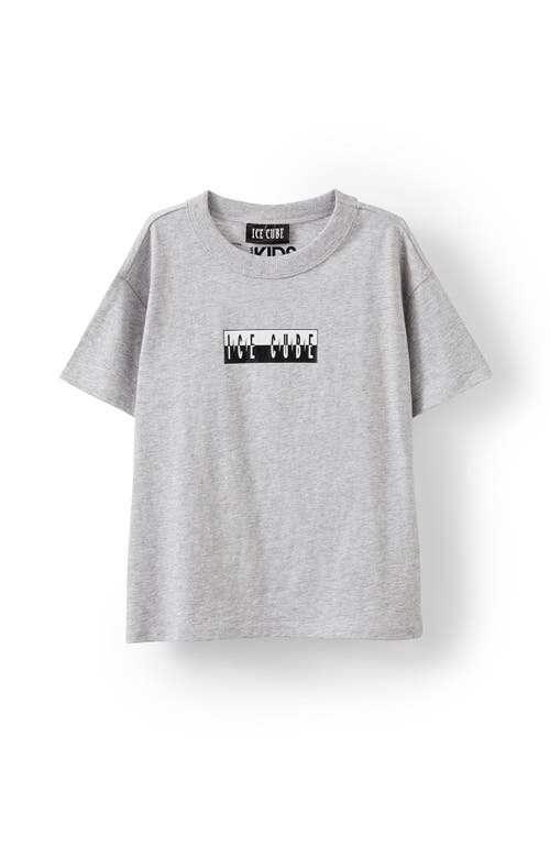 Cotton On Kids Kid's Licensed Drop Shoulder Short Sleeve Tee In Lcn Mt Fog Grey Marle Ice