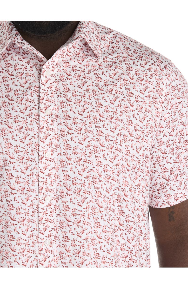 True Nation by DXL Big & Tall Leaf Print Sport Shirt, Alternate, color, Multi