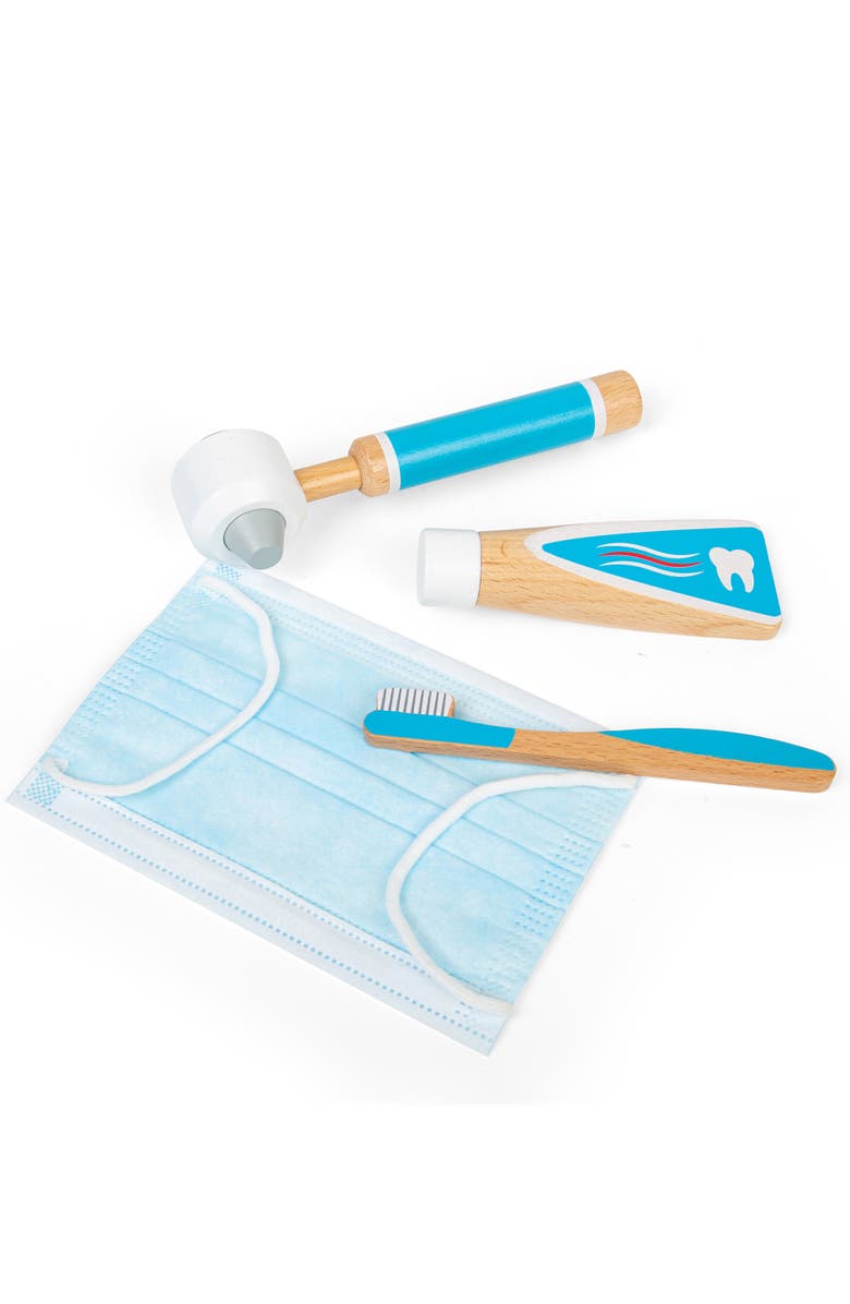Bigjigs Toys Dentist Set, Alternate, color, Blue