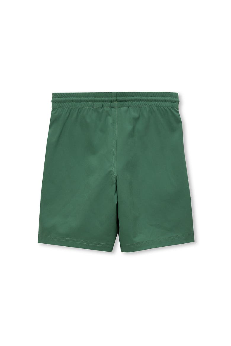 Boys Adventure Performance Shorts, Alternate, color, Spruce Green