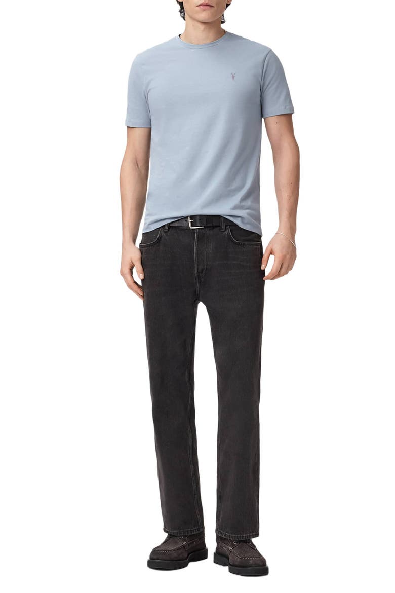 Brace Cotton T-Shirt, Alternate, color, MISTY BLUE