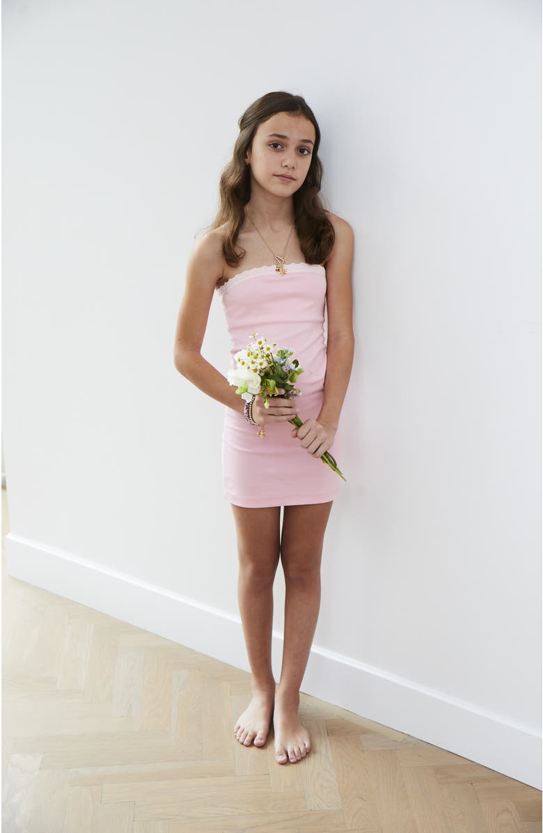 Theme Stevie Pink Tube Lace Trimmed Dress, Alternate, color, Pink