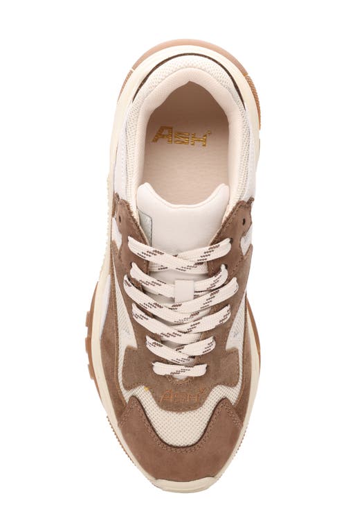 Ash Addict Sneakers In Taupe Suede And Fabric In Brown