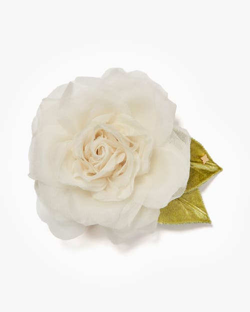 Helena Simon The White Rose In White