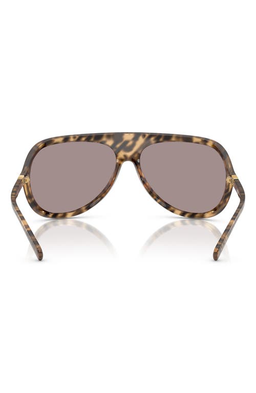 Miu Miu 75mm Oversize Shield Sunglasses In Brown