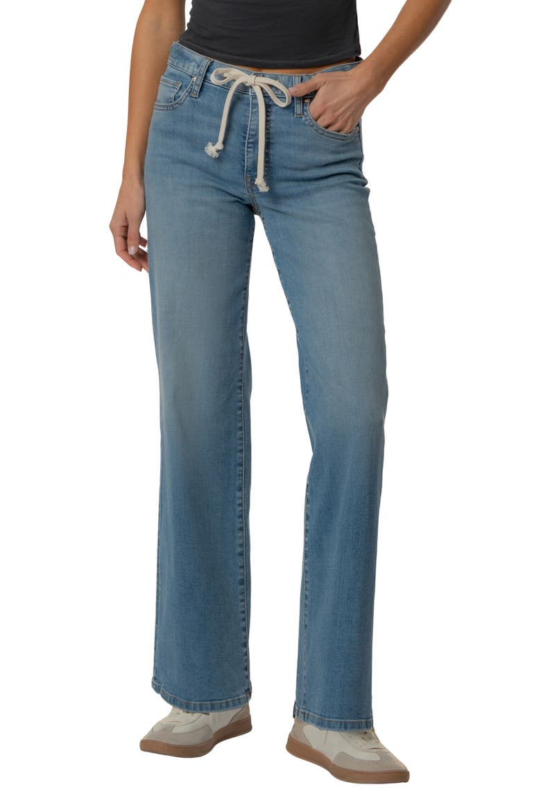 Maya High Waist Wide Leg Jeans, Main, color, PROTECT