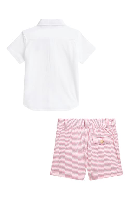 Polo Ralph Lauren Ralph Lauren Short Sleeve Cotton Piqué Button-down Shirt & Seersucker Shorts Set In White/multi Pp