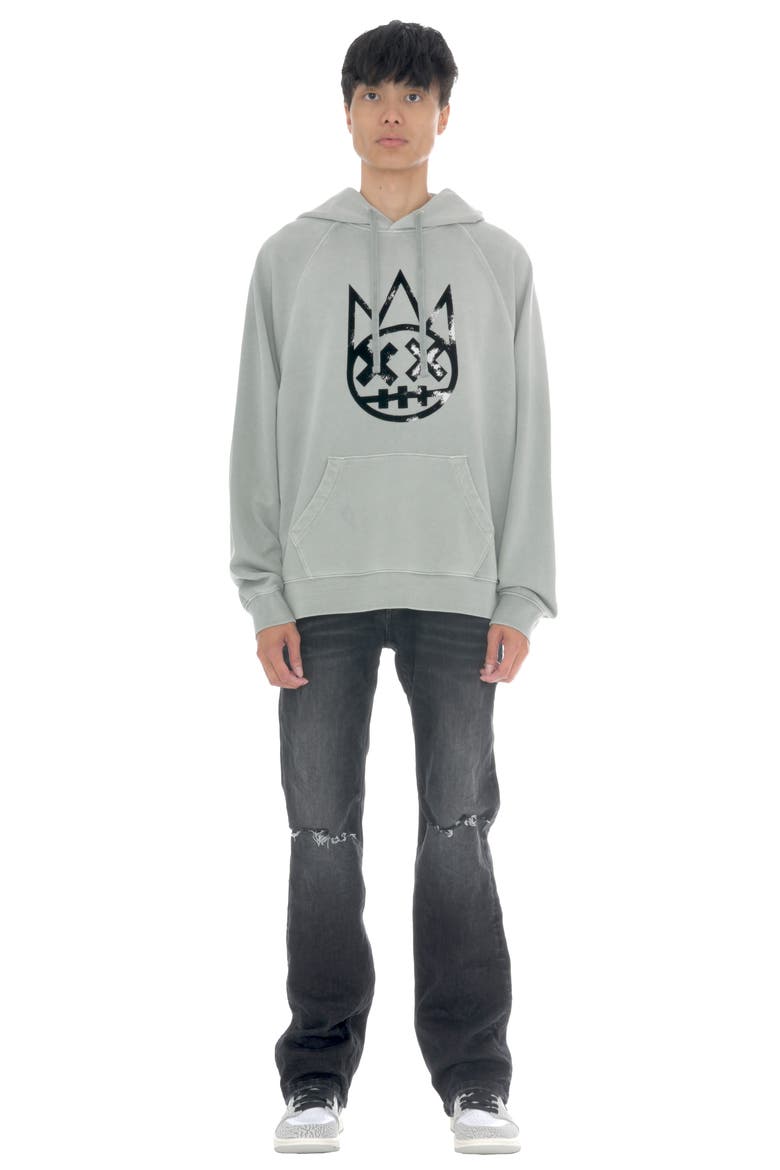 Shimuchan Flocked Logo Graphic Hoodie, Alternate, color, VINTAGE GREY