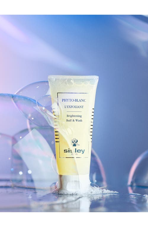 Sisley Paris Phyto-blanc Brightening Buff & Wash Cleanser In No Color