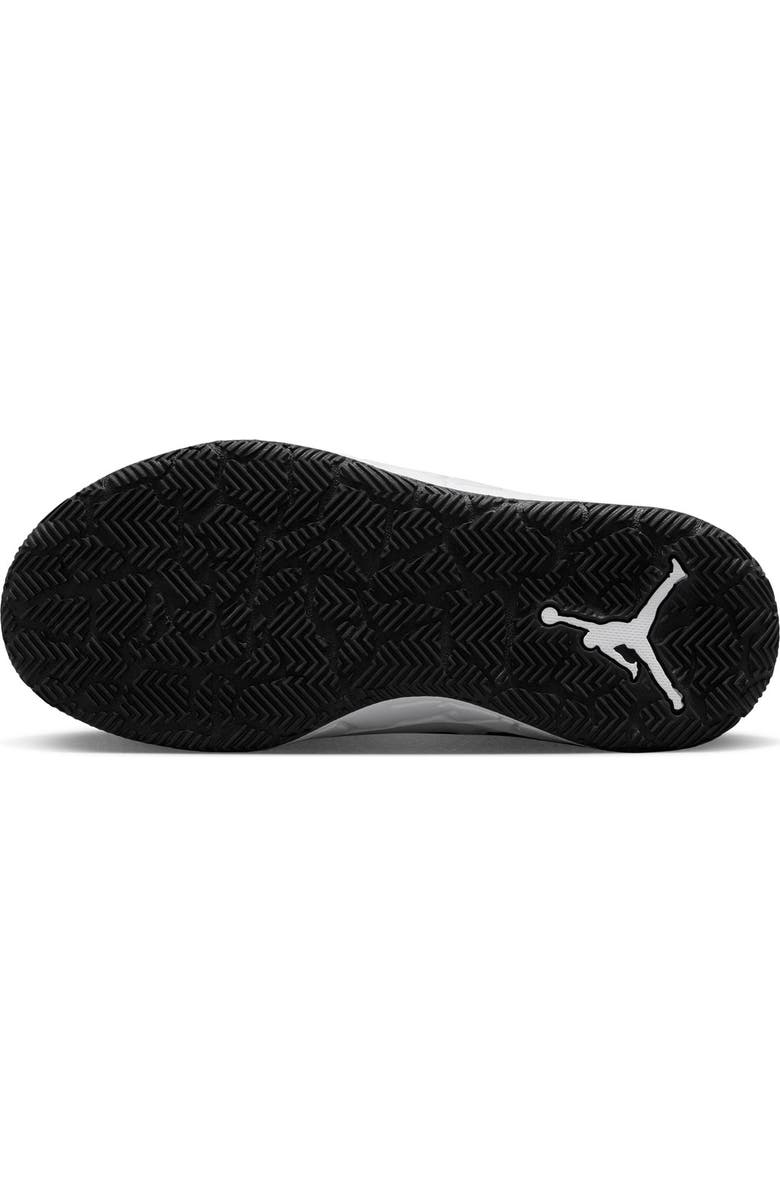 Nike Kids' Jordan DAY1 EO Sneaker, Alternate, color,