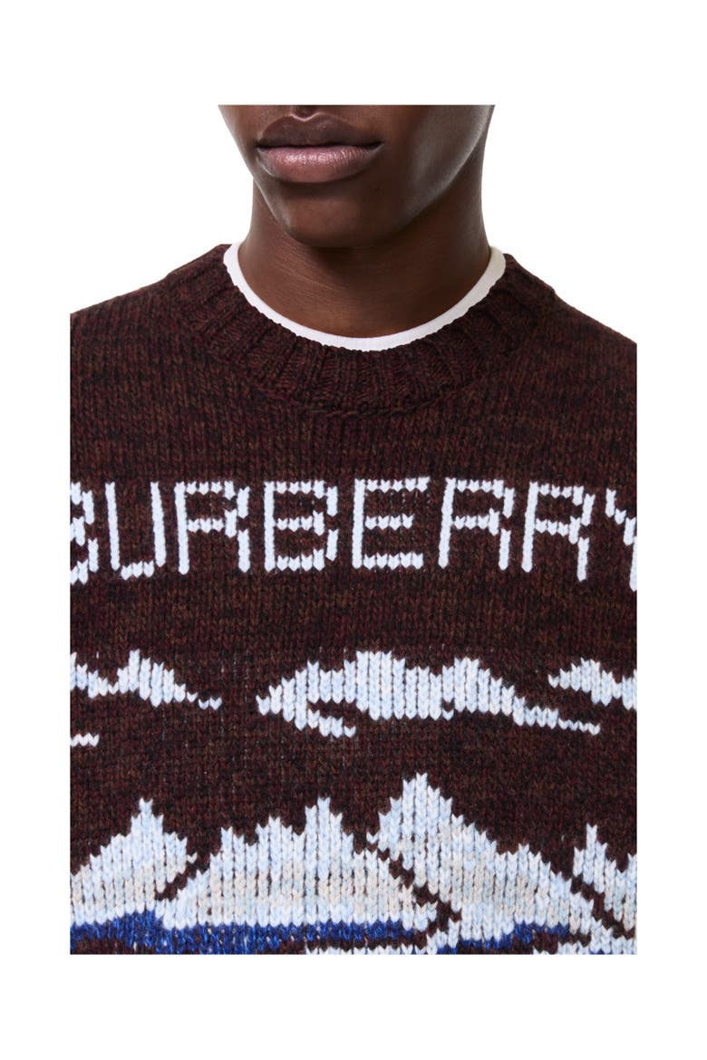 Alpine Wool Sweater, Alternate, color, Brown