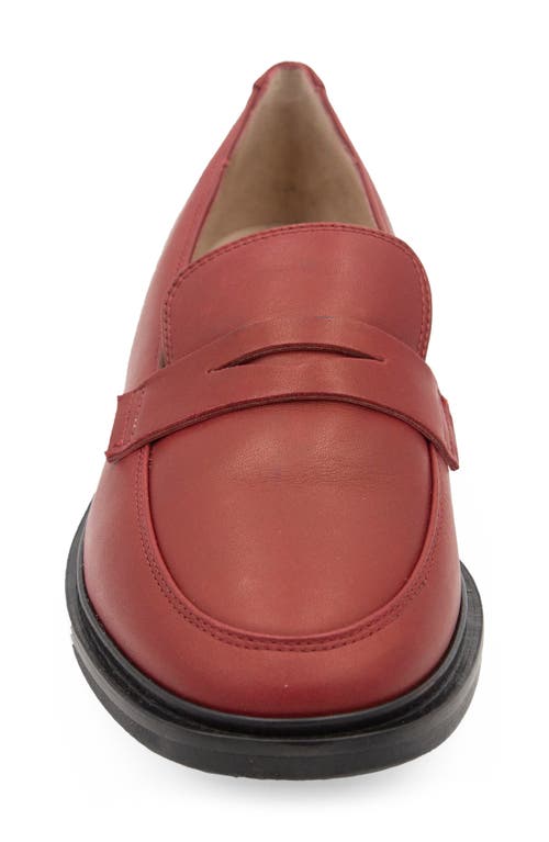 Amalfi By Rangoni Calabrone Penny Loafer In Brunello Piuma Lux