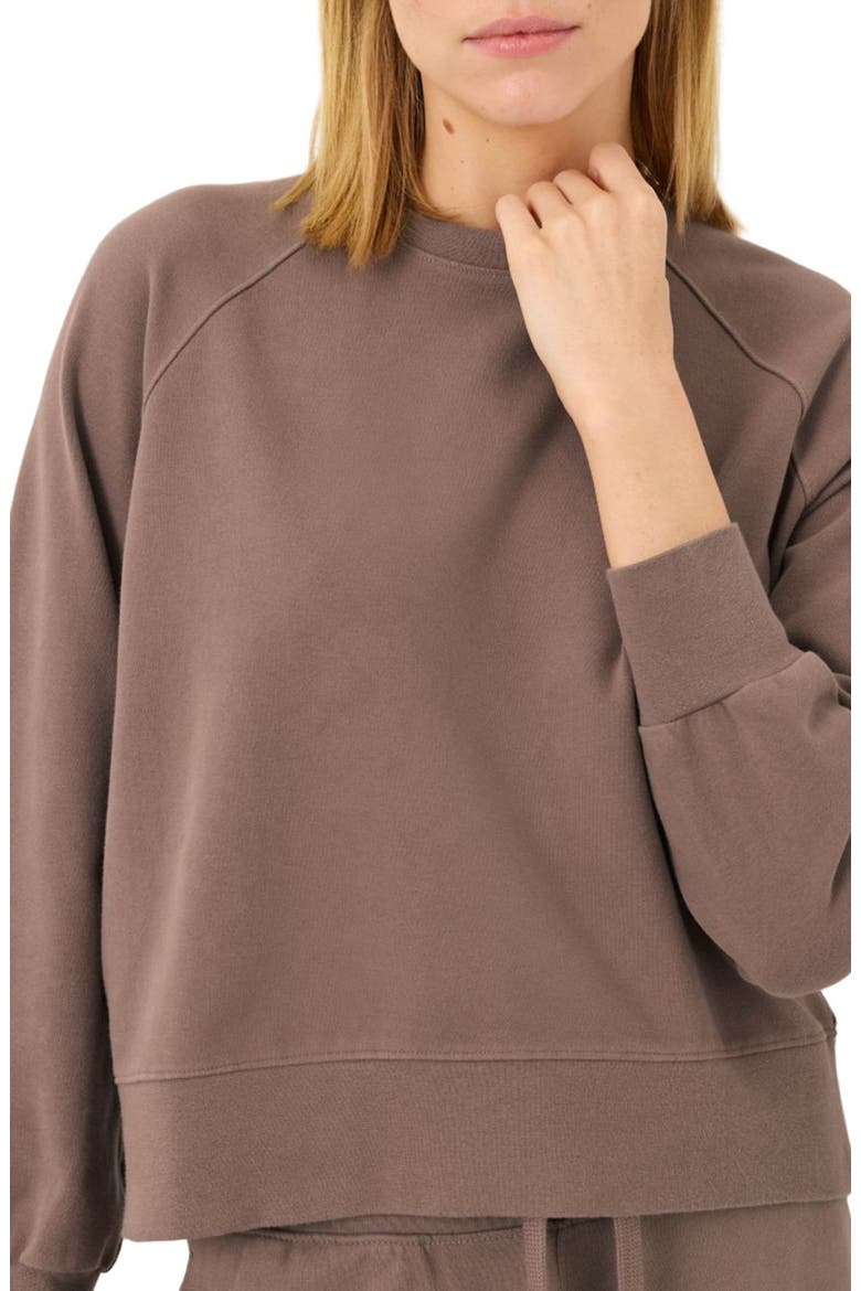 CloudKnit Raglan Crew, Alternate, color, Deep Taupe