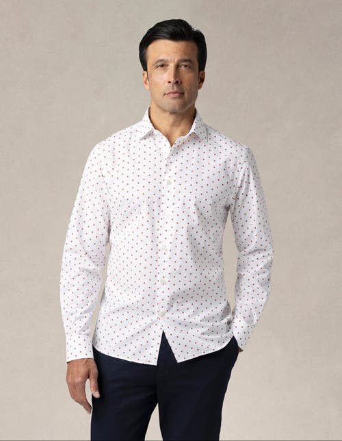 Robert Talbott Reynolds Strawberry Print Contemportary Fit Shirt In Strawberry