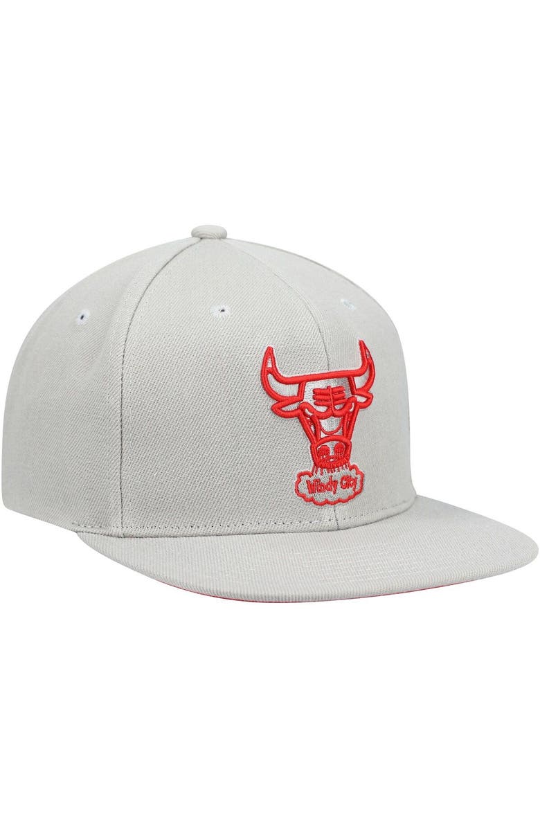 Mitchell & Ness Men's Mitchell & Ness Gray Chicago Bulls Hardwood Classics Tonal Snapback Hat, Alternate, color, 