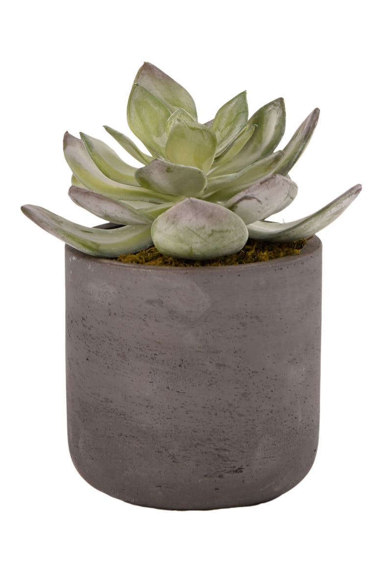 Desert Dudleya Planter Decoration, Main, color, GREEN