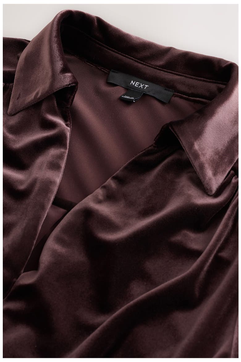 Long Sleeve Velvet Jumpsuit, Alternate, color, BROWN