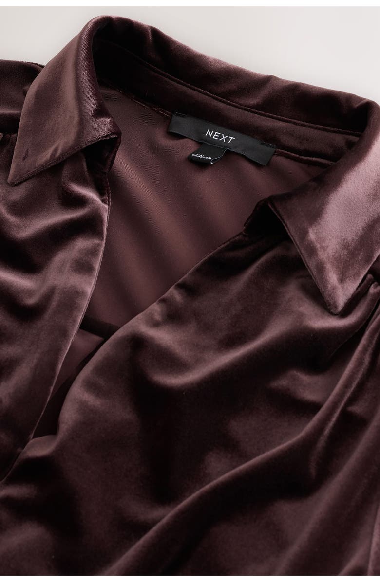 NEXT Long Sleeve Velvet Jumpsuit, Alternate, color, Brown