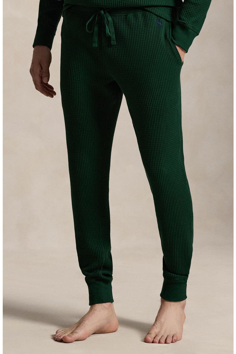 Thermal Pajama Joggers, Alternate, color, MOSS AGATE/ CRUISE NAVY PP