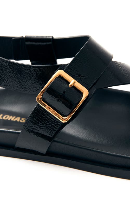 Alohas Flat Sandals With Adjustable Gold Buckle In Black
