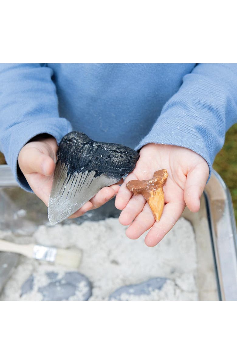 Kaplan Early Learning Company Super Shark Teeth Set - 40 Pieces, Alternate, color, Multicolored