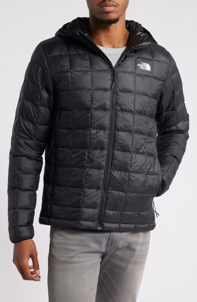 The North Face ThermoBall<sup>™</sup> Hooded Jacket 2.0, Alternate, color, 