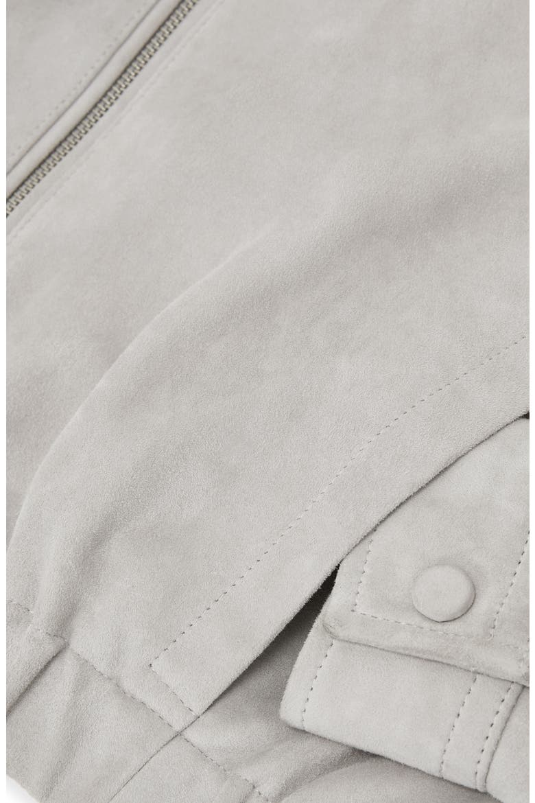 Lottie Leather Jacket, Alternate, color, LIGHT GREY