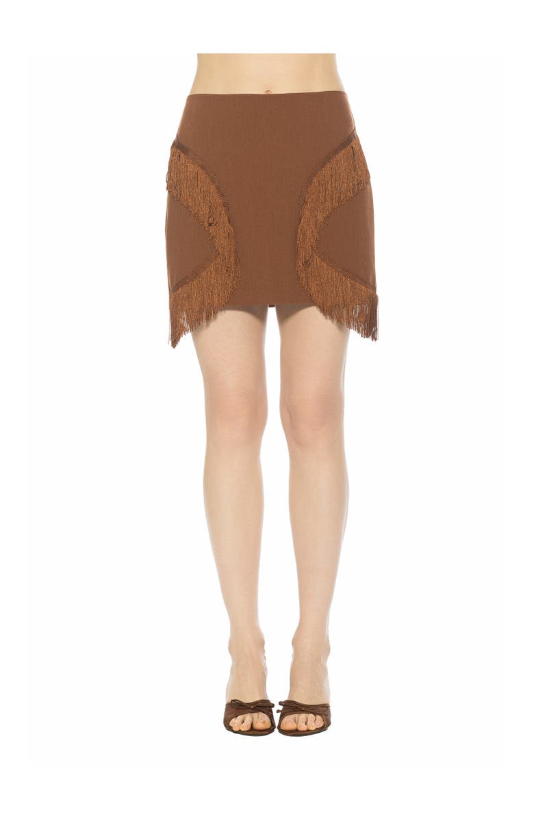 Alexia Admor Lior Fringe Grommet Mini Skirt, Main, color, Brown
