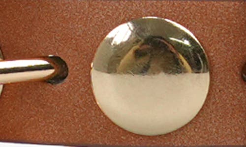 Petit Moments Disc Stud Belt In Brown