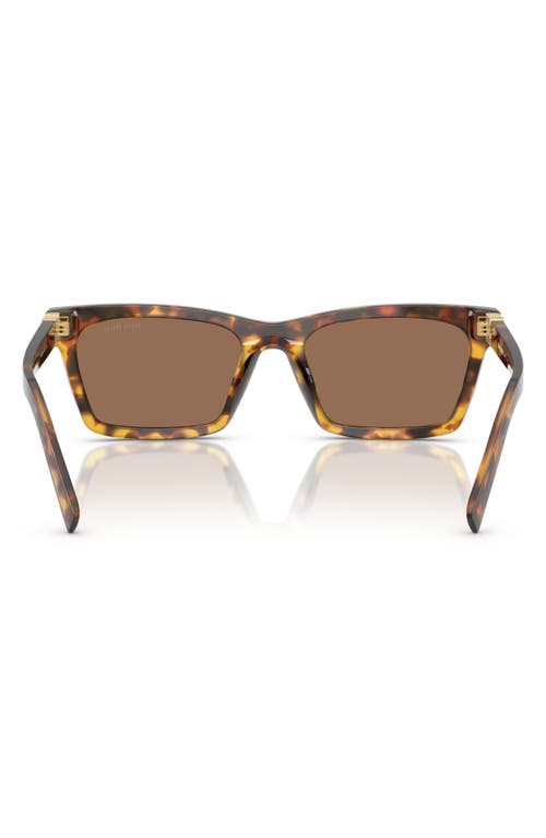 Miu Miu 55mm Rectangular Sunglasses In Dark Brown