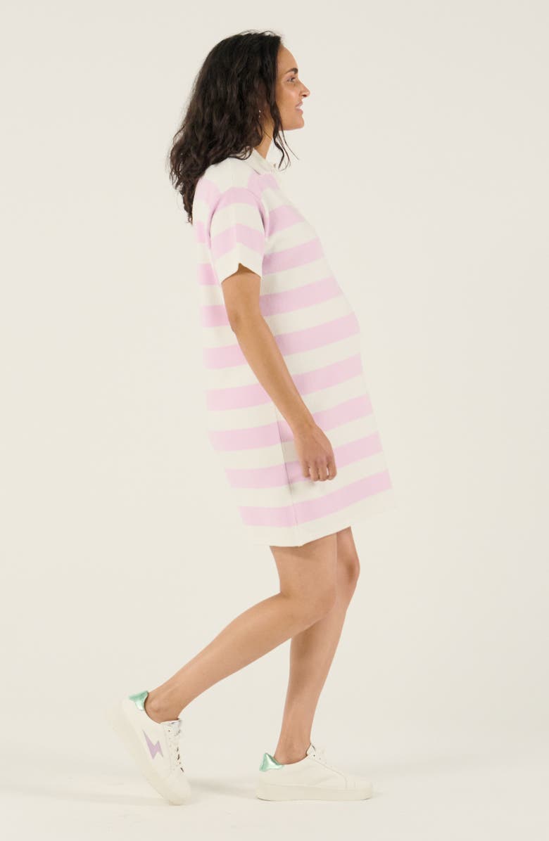Cache Coeur Maternity and Nursing Polo Dress Hamptons, Alternate, color, Parma