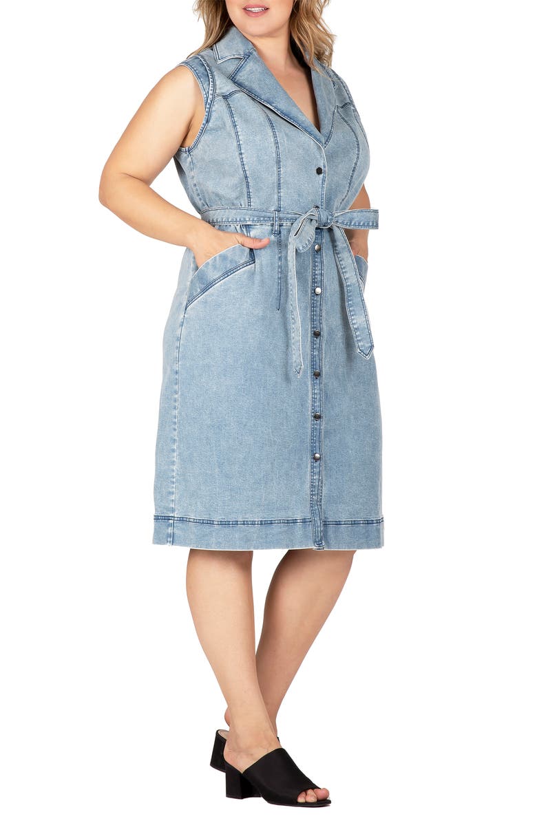 Standards & Practices Sleeveless Tie Waist Denim Dress, Alternate, color, Bluestone