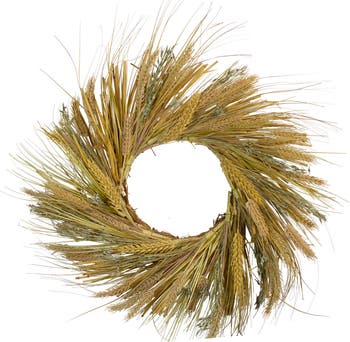 Northlight Wheat and Straw Artificial Fall Harvest Wreath - 22" | Nordstrom
